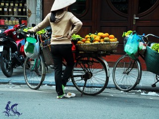 Best of Vietnam and Cambodia 14 Days Holiday - Private tour - 30% off