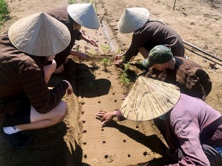 Discover Vietnam in 12 Days with Family - Private Package Tour (20% off)