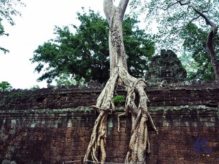 Explore Angkor Temples - 3 Days Tour - Private tour (special offers)