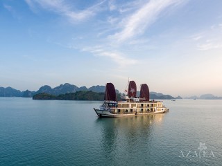 Azalea Cruises - 25% off