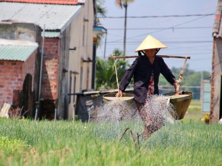 Hoi An Farming - Fishing - Cooking Private Day tour - 20% off