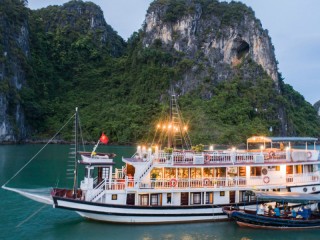 Swan Cruises - 40% off