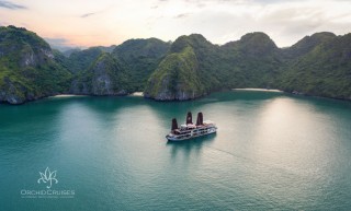 Orchid Cruises - 25% off