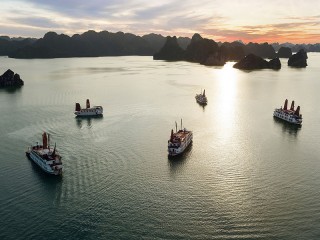 Pelican Cruises - 30% off