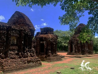 The Highlights of Vietnam 11 Days 10 Nights Package Tour (small group tour) - 30% off