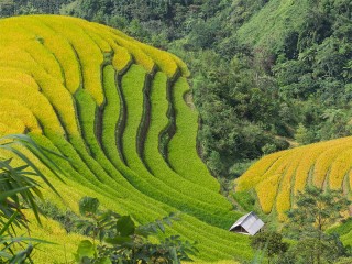 Best of North Vietnam 10 Days Tour - Private tour - 30% off