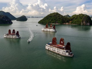 Pelican Cruises - 30% off