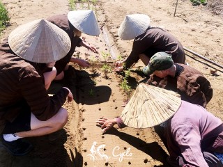 The Best of Vietnam Family 15 Days Package Tour - Private tour - 25% off