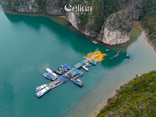 Celina of The Sea