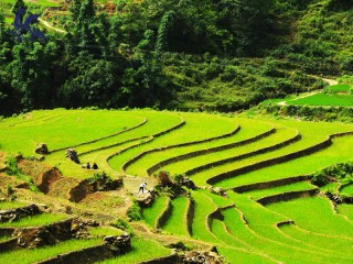 Vietnam 14 Days 13 Nights Package Tour from Hanoi (small group tour) - 25% off