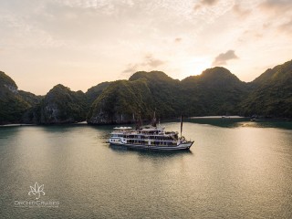 Orchid Cruises - 25% off