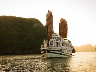 V'Spirit Cruises - 50% off