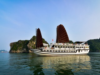 V'Spirit Cruises - 50% off