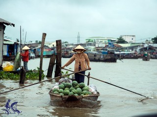 Mekong Delta 2 Days Tour - Private tour - 45% off