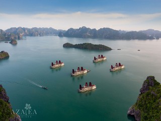 Azalea Cruises - 25% off