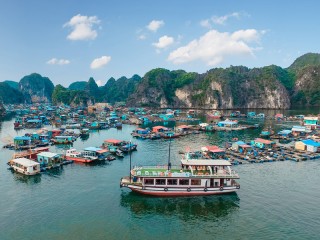 Arcady Cruises - 35% off