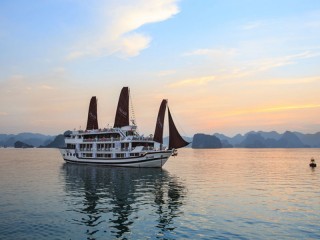 Stellar Cruise - 40% off