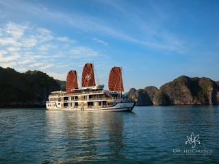 Orchid Cruises - 25% off