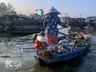 Essential Vietnam 10 Days 09 Nights Package Tour (small group tour) - 30% off