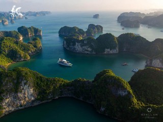 Stellar of The Seas Cruise - 35% off