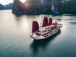 Alisa Premier Cruise - 30% off