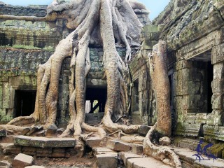 Essential Cambodia 6 Days Tour - Private tour - 30% off