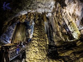 Paradise Cave - Phong Nha Cave (Phong Nha - Ke Bang National Park) Day Tour - Private tour - 30% off