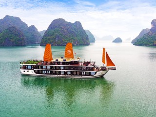 Peony Cruises - 30% off