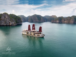 Orchid Cruises - 25% off