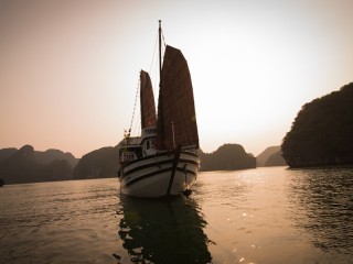 V'Spirit Cruises - 50% off