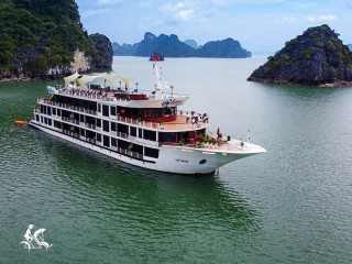 Aspira Cruise - 35% off