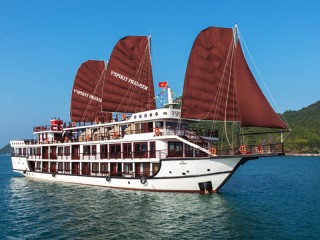 V’Spirit Premier Cruise - 30% off