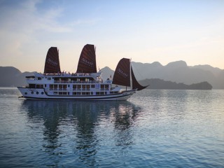 Stellar Cruise - 40% off