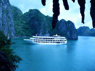 Starlight Cruise - 40% off