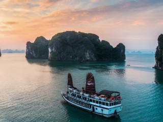 Swan Cruises - 40% off