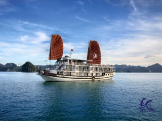 Le Journey Cruise - 40% off