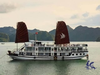 Le Journey Cruise - 40% off