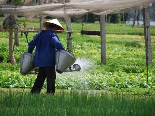 Hoi An Farming - Fishing - Cooking Private Day tour - 20% off