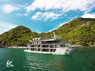 Aspira Cruise - 35% off