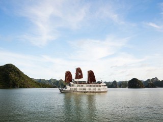 Pelican Cruises - 30% off