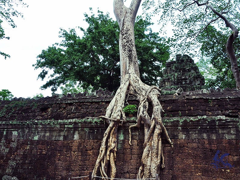 Explore Angkor Temples - 3 Days Tour - Private tour (special offers)