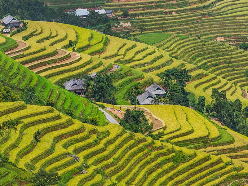 Best of North Vietnam 10 Days Tour - Private tour - 30% off