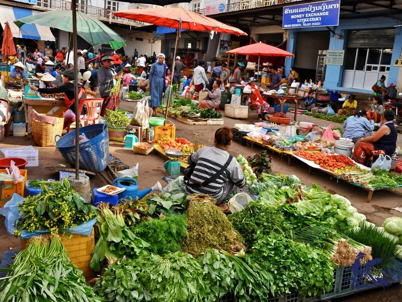 The Best of Laos 8 Days Tour - Private tour - 35% off