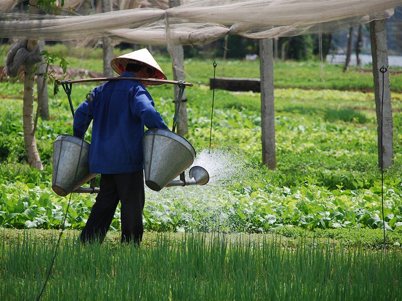 Essential Vietnam 10 Days Tour - Private tour - 35% off