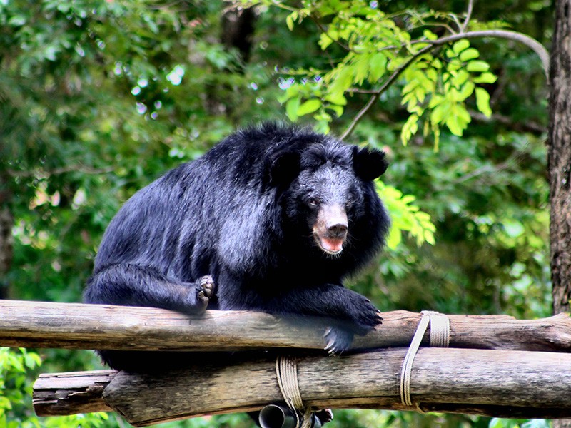 Phnom Penh - Tonle Bati - Phnom Tamao Zoo Day Tour - Private tour