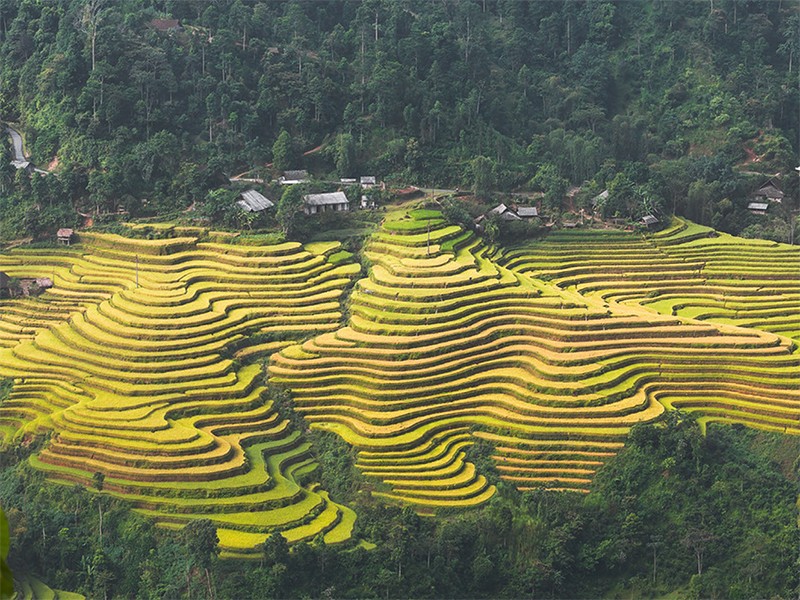 Best of North Vietnam 10 Days Tour - Private tour - 30% off