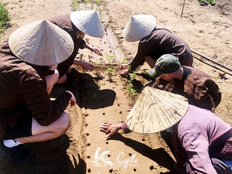 The Best of Vietnam Family 15 Days Package Tour - Private tour - 25% off