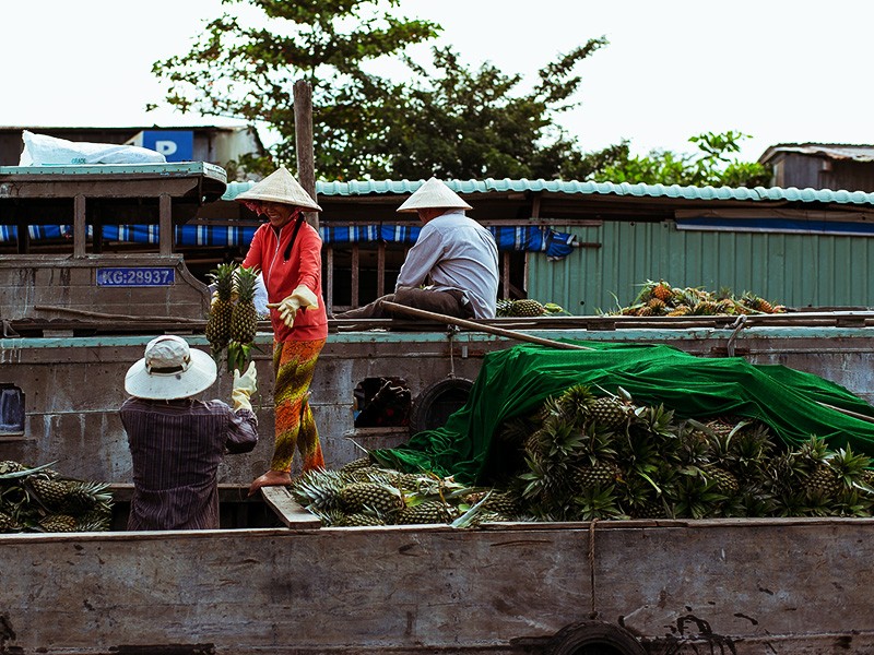 Mekong Delta 2 Days Tour - Private tour - 45% off