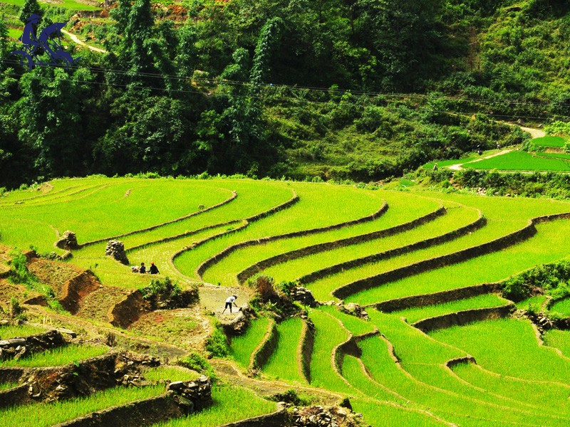 Vietnam 14 Days 13 Nights Package Tour from Hanoi (small group tour) - 25% off