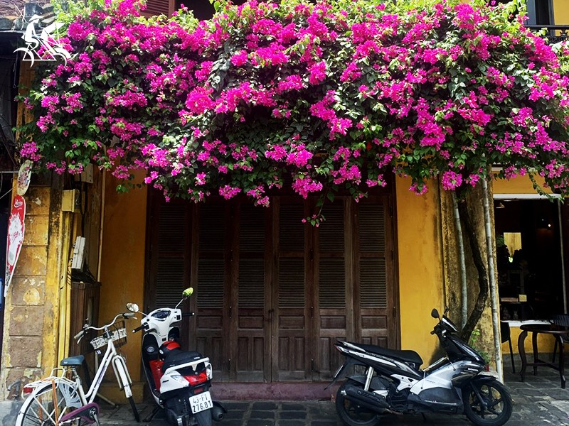 Vietnam 14 Days 13 Nights Package Tour from Ho Chi Minh (small group tour) - 25% off